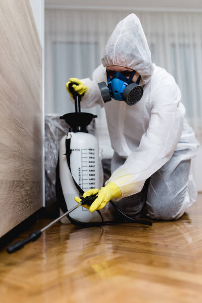 Best Pest Control for Warehouses  in Weslaco, TX